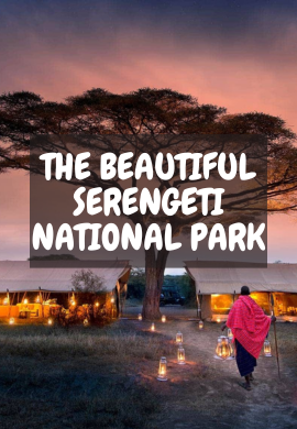 "Serengeti Symphony: A Dance of Wilderness and Wonder.